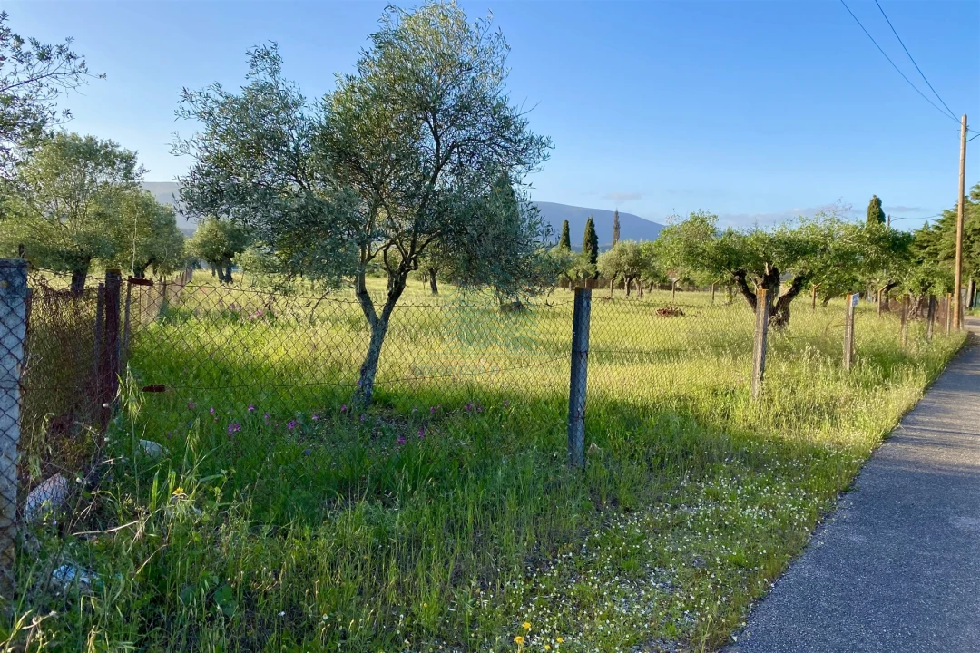 Terreno Agricola ou Rústico para Venda em Zibreira Foto 4