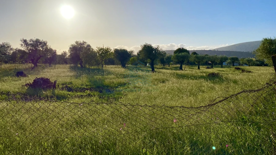 Terreno Agricola ou Rústico para Venda em Zibreira