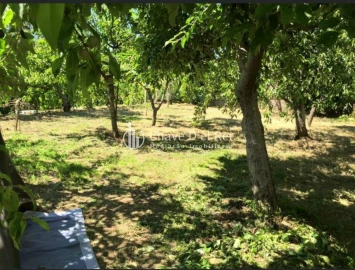 Moradia T5 para Venda em Ribafeita