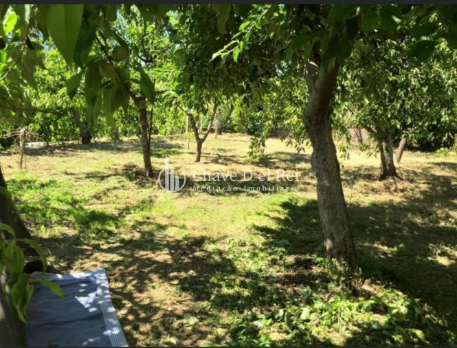 Moradia T5 para Venda em Ribafeita Foto 24