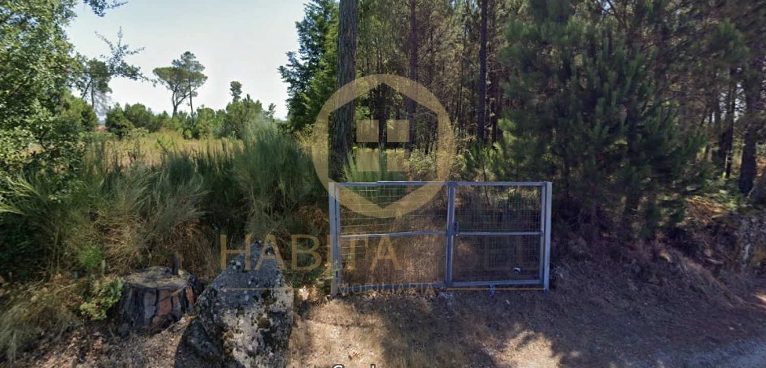 Terreno para Venda em Santar e Moreira Foto 2