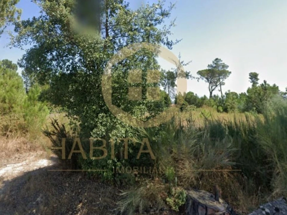 Terreno para Venda em Santar e Moreira Foto 1