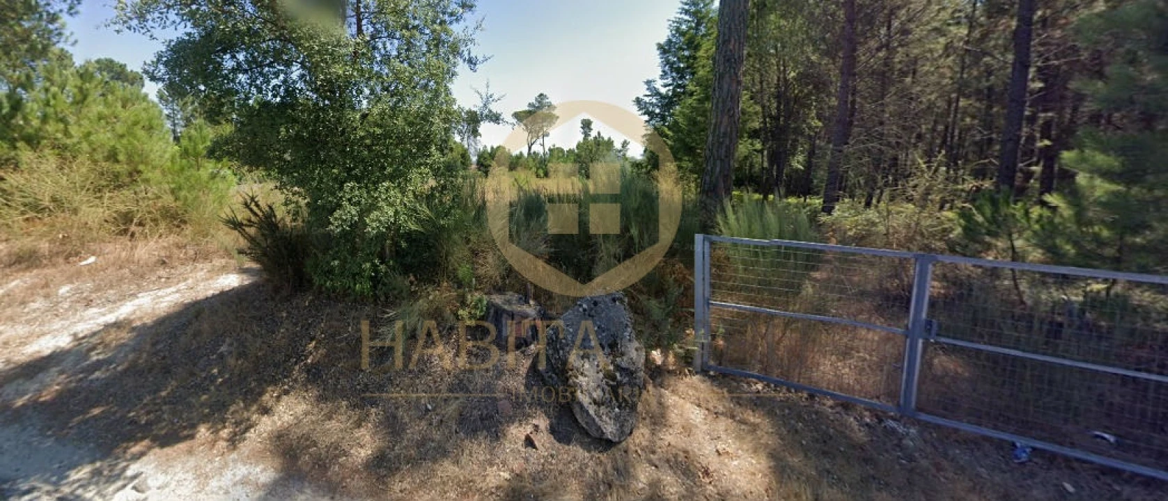 Terreno para Venda em Santar e Moreira Foto 4