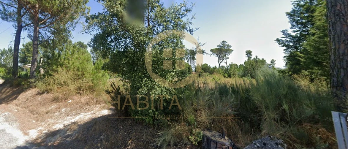 Terreno para Venda em Santar e Moreira Foto 5