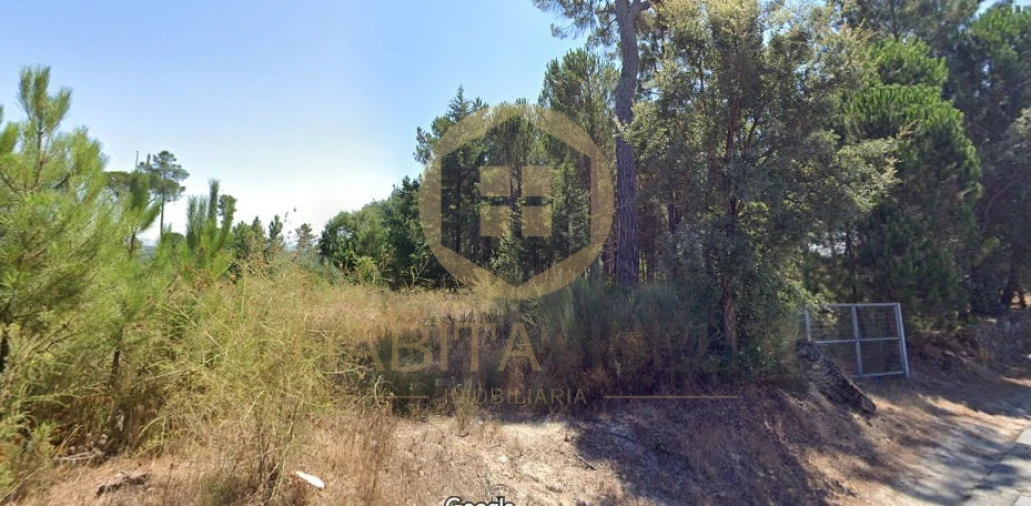 Terreno para Venda em Santar e Moreira Foto 3