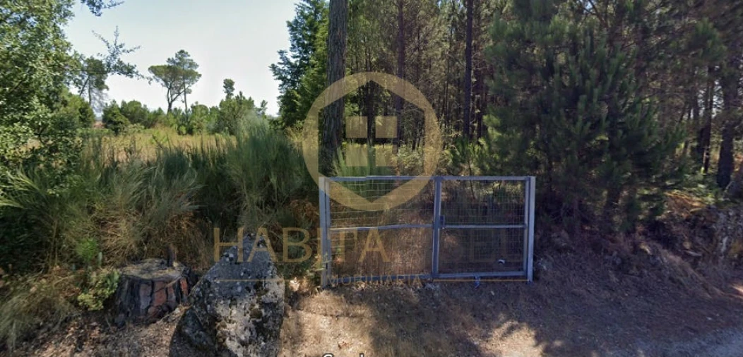 Terreno para Venda em Santar e Moreira Foto 2