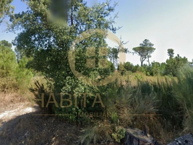 Terreno para Venda em Santar e Moreira Foto 1