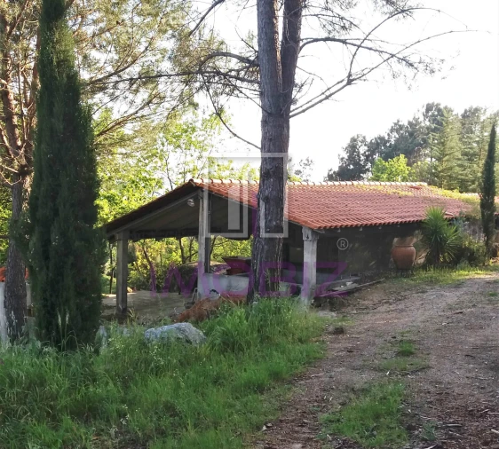 Quinta T0 para Venda em São João de Lourosa Foto 2