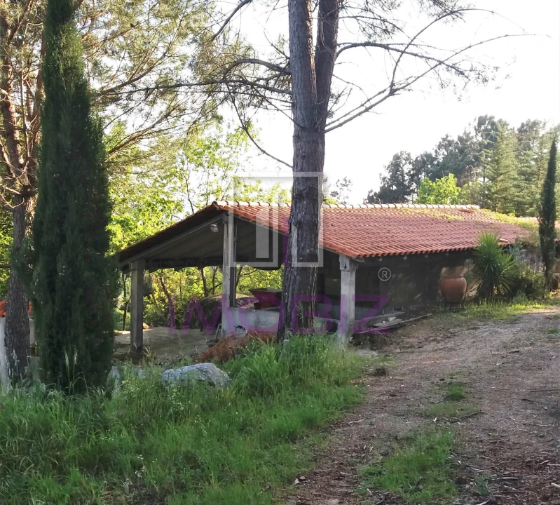 Quinta T0 para Venda em São João de Lourosa Foto 2