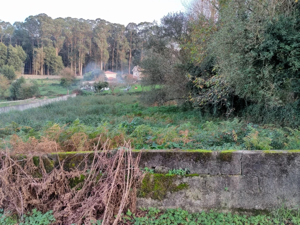 Terreno para Venda em Grijó e Sermonde Foto 5
