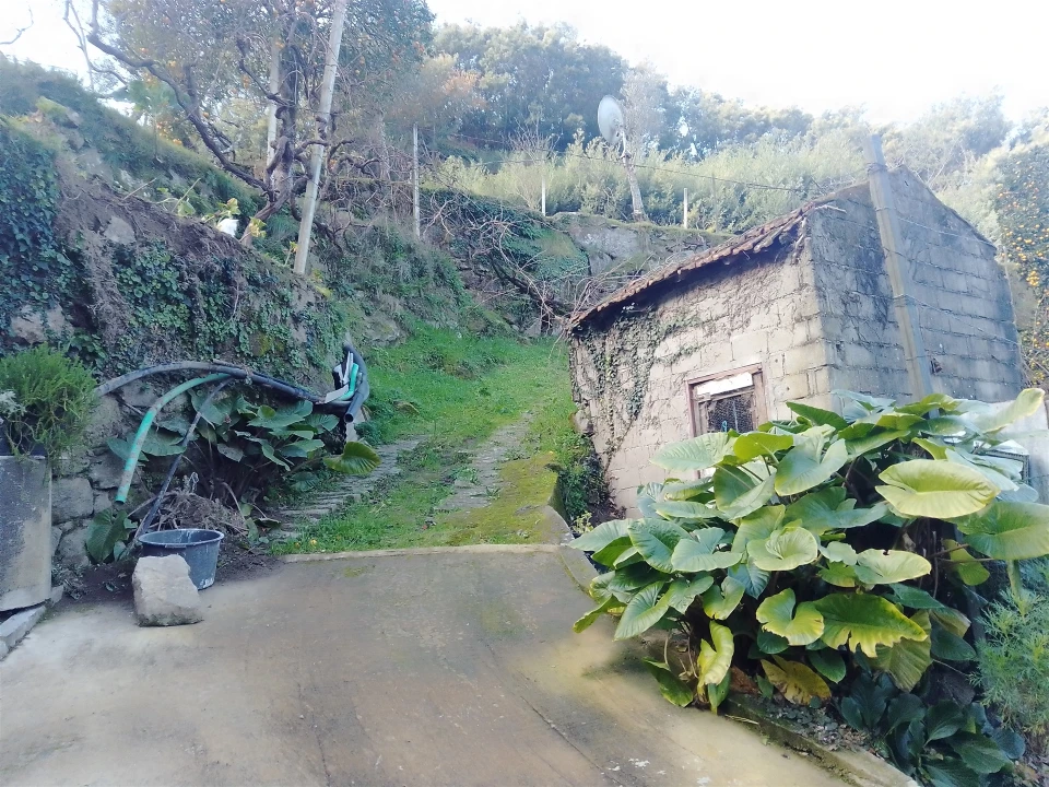 Terreno Agricola ou Rústico para Venda em Cinfães Foto 23