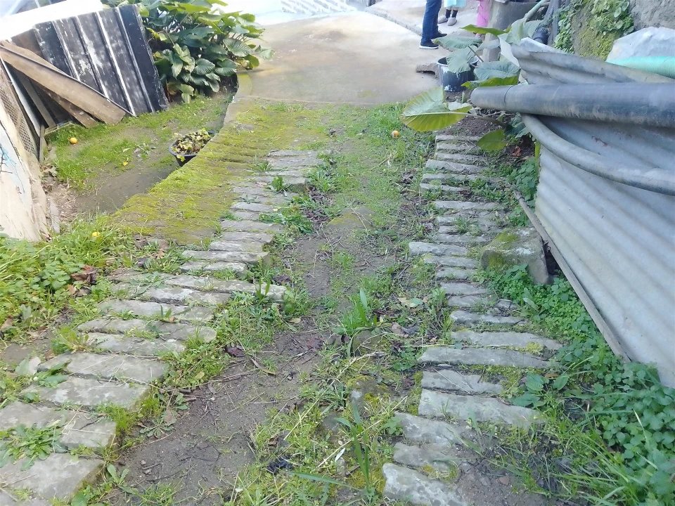 Terreno Agricola ou Rústico para Venda em Cinfães Foto 22
