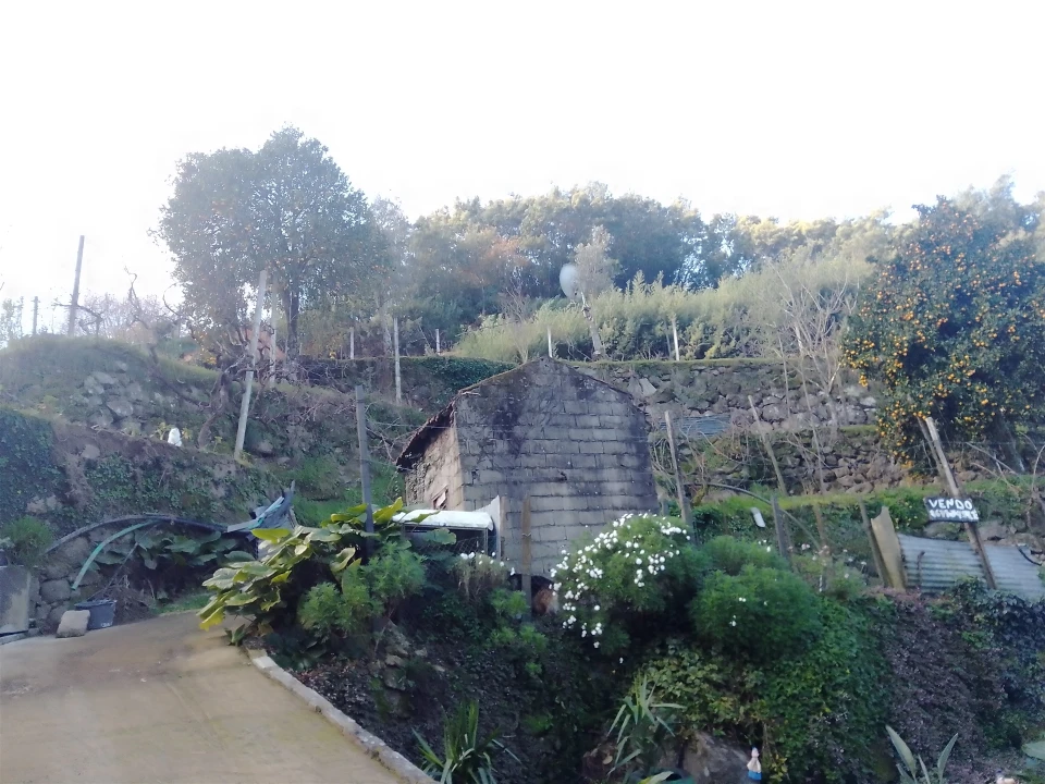 Terreno Agricola ou Rústico para Venda em Cinfães Foto 25