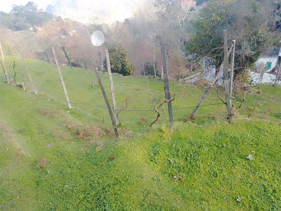 Terreno Agricola ou Rústico para Venda em Cinfães Foto 1