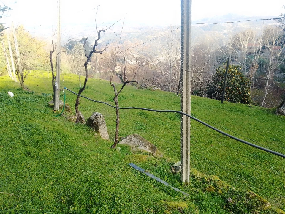 Terreno Agricola ou Rústico para Venda em Cinfães Foto 7