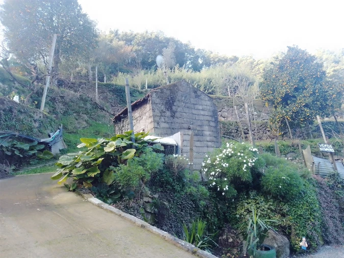 Terreno Agricola ou Rústico para Venda em Cinfães Foto 24