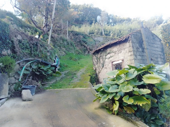 Terreno Agricola ou Rústico para Venda em Cinfães Foto 23