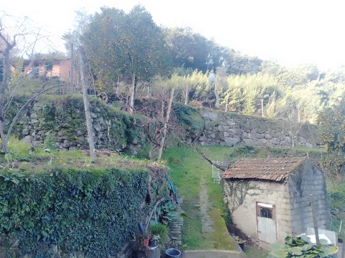 Terreno Agricola ou Rústico para Venda em Cinfães Foto 4