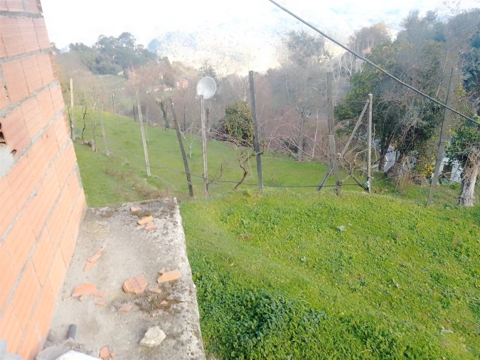 Terreno Agricola ou Rústico para Venda em Cinfães Foto 14