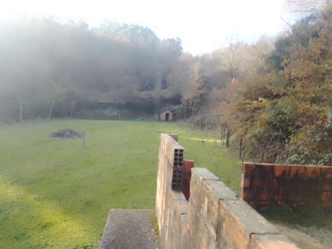 Terreno Agricola ou Rústico para Venda em Cinfães Foto 21