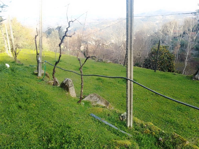 Terreno Agricola ou Rústico para Venda em Cinfães Foto 7