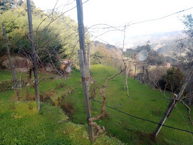 Terreno Agricola ou Rústico para Venda em Cinfães Foto 9