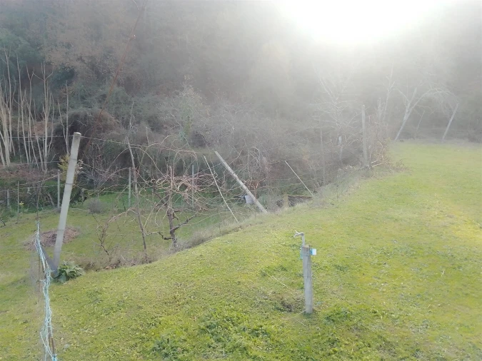 Terreno Agricola ou Rústico para Venda em Cinfães Foto 19