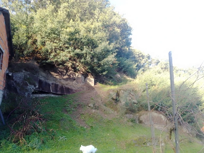 Terreno Agricola ou Rústico para Venda em Cinfães Foto 8