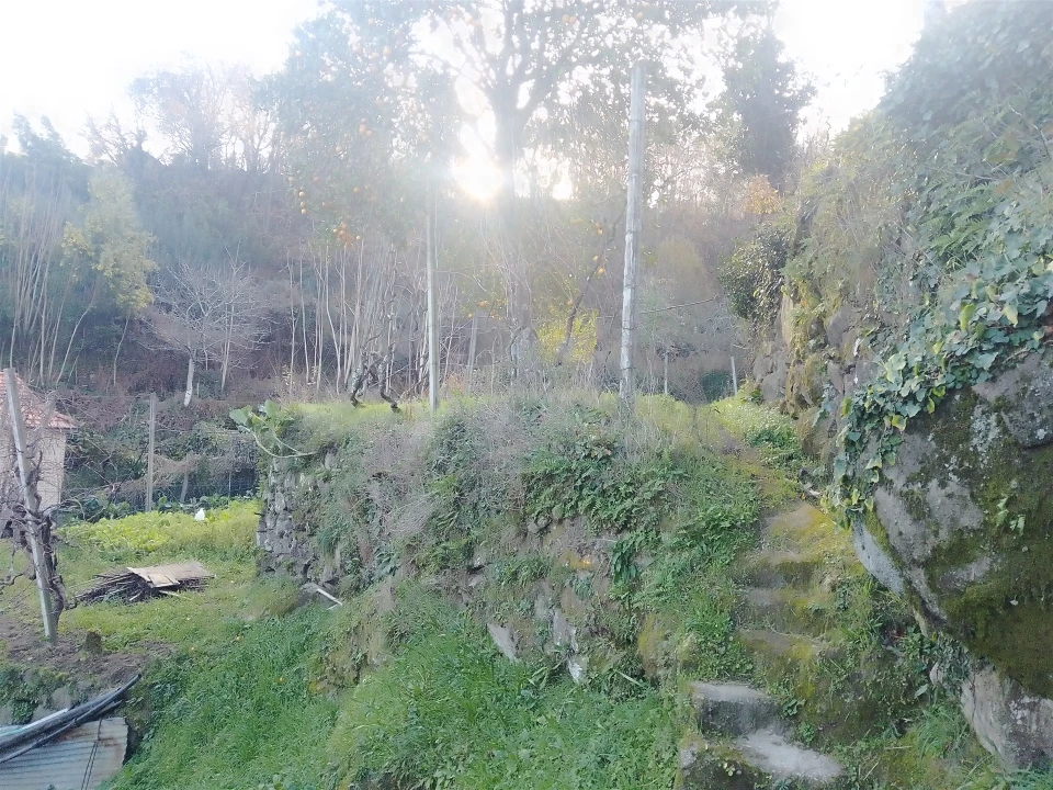 Terreno Agricola ou Rústico para Venda em Cinfães Foto 6