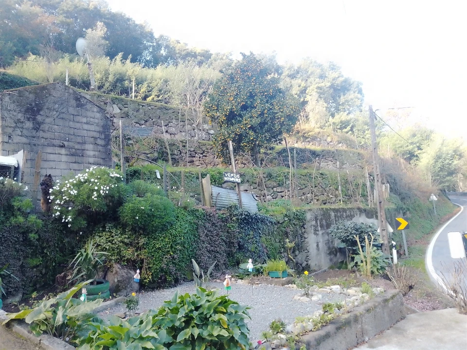Terreno Agricola ou Rústico para Venda em Cinfães Foto 28