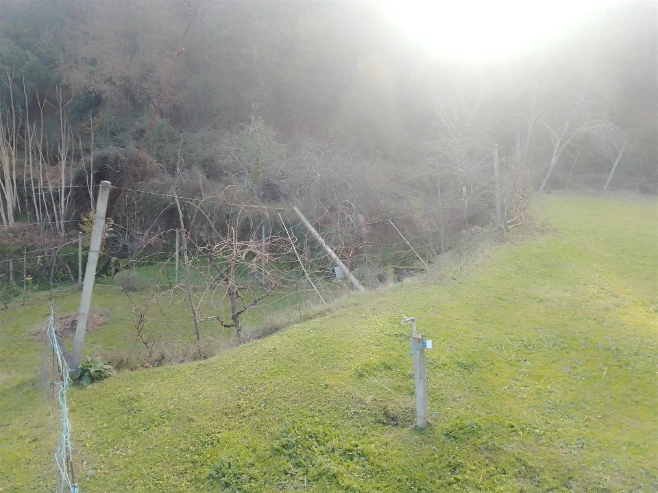 Terreno Agricola ou Rústico para Venda em Cinfães Foto 19