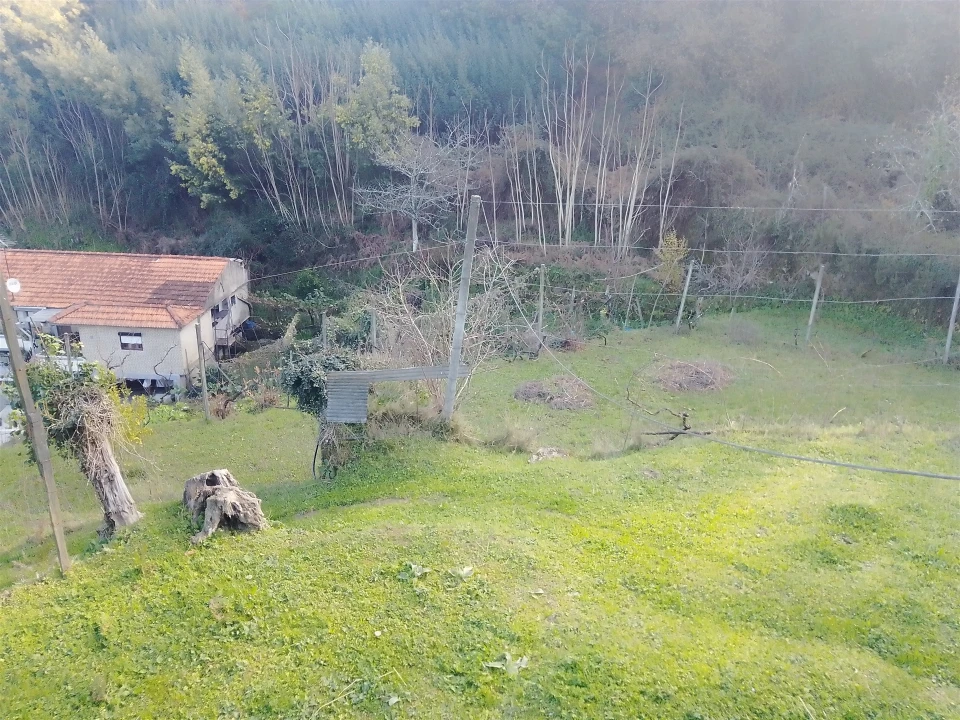 Terreno Agricola ou Rústico para Venda em Cinfães Foto 16