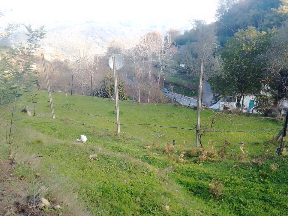 Terreno Agricola ou Rústico para Venda em Cinfães Foto 11