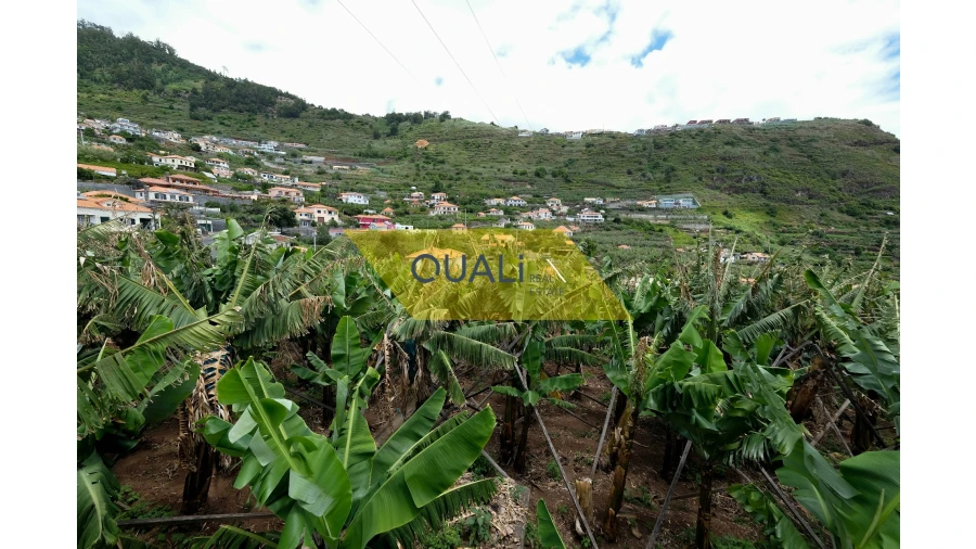 Terreno Misto para Venda em Arco da Calheta Foto 23