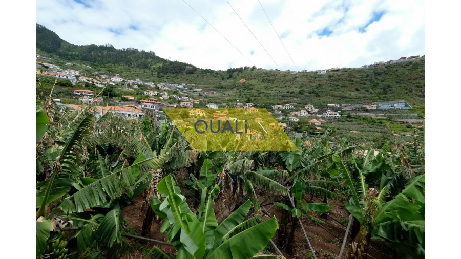 Terreno Misto para Venda em Arco da Calheta Foto 24
