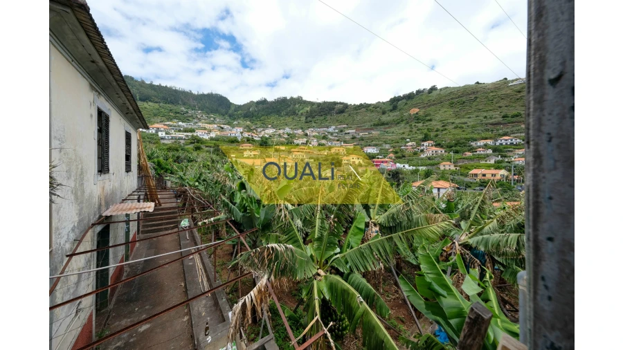 Terreno Misto para Venda em Arco da Calheta Foto 6
