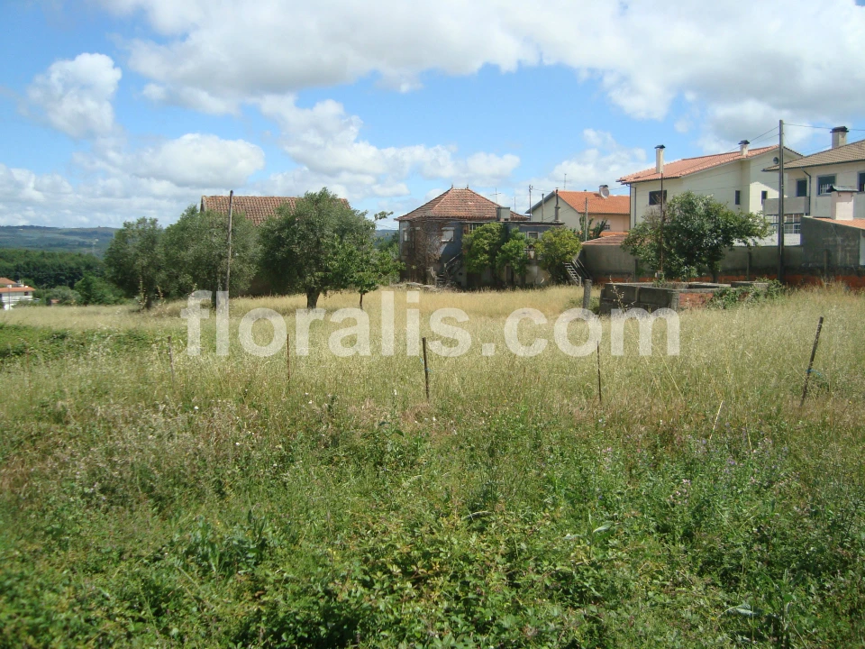 Terreno para Venda em Rio de Loba Foto 1