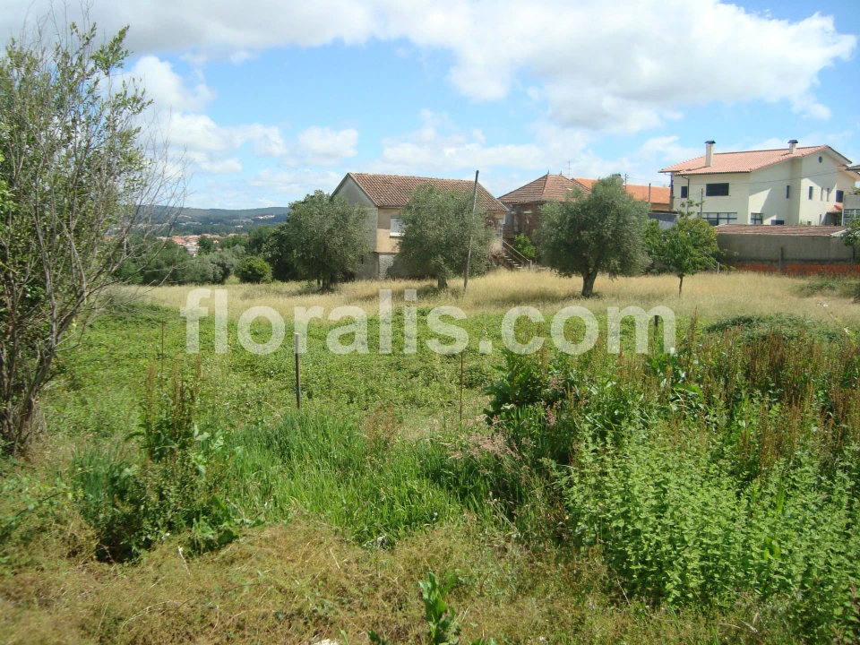 Terreno para Venda em Rio de Loba Foto 3