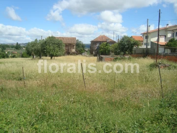 Terreno para Venda em Rio de Loba