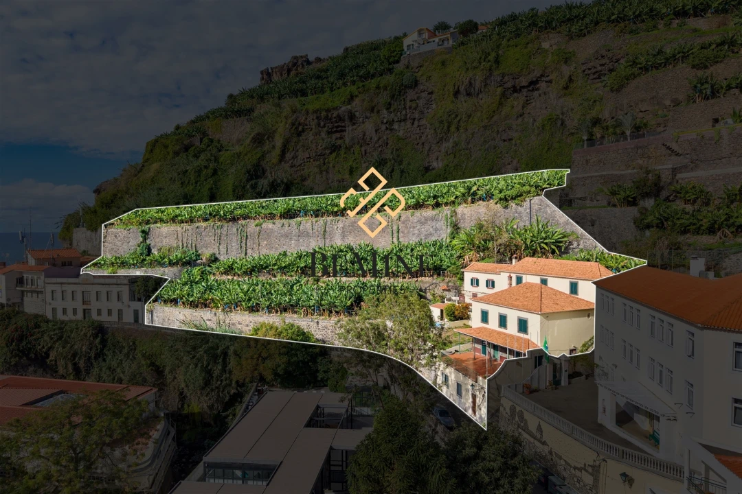 Terreno para Venda em Ponta do Sol Foto 5