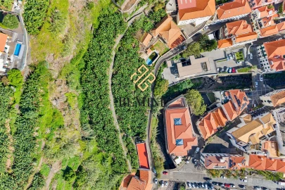 Terreno para Venda em Ponta do Sol