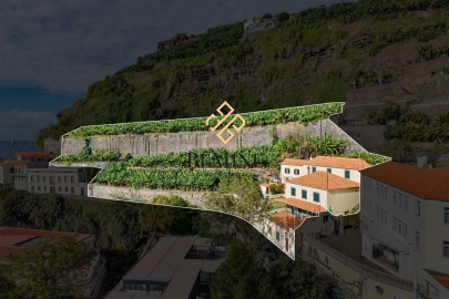 Terreno para Venda em Ponta do Sol