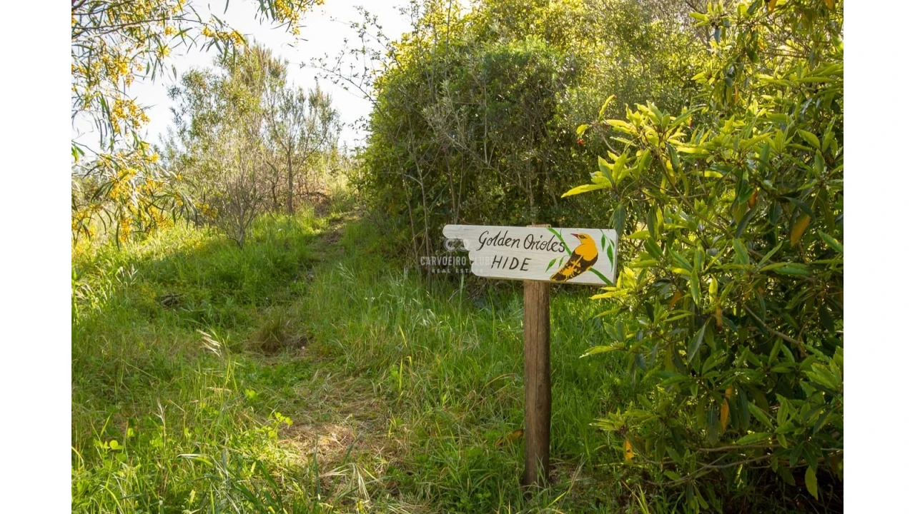 Quinta T16 para Venda em Santa Clara-A-Velha Foto 16