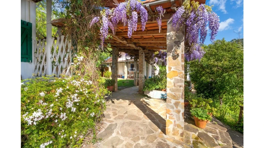 Quinta T16 para Venda em Santa Clara-A-Velha Foto 32