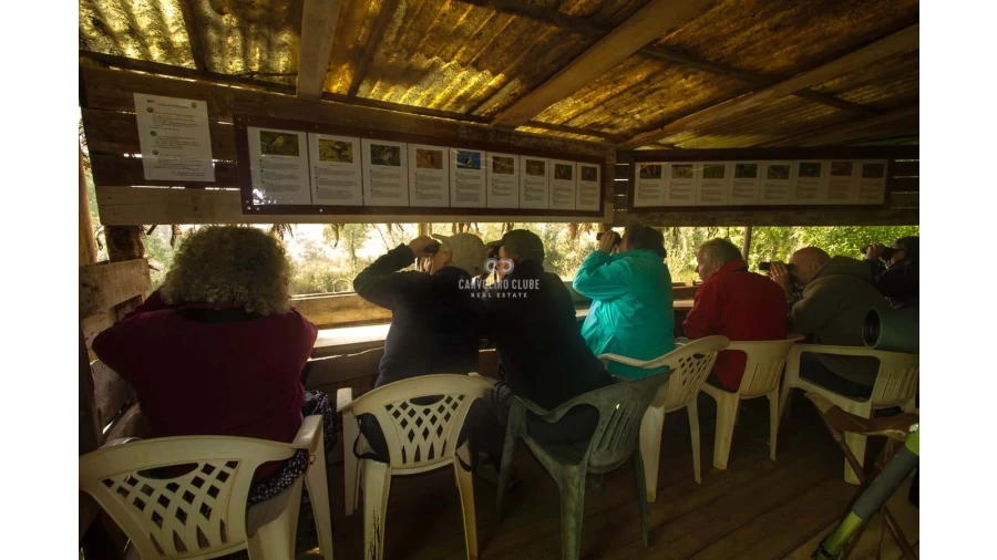 Quinta T16 para Venda em Santa Clara-A-Velha Foto 17