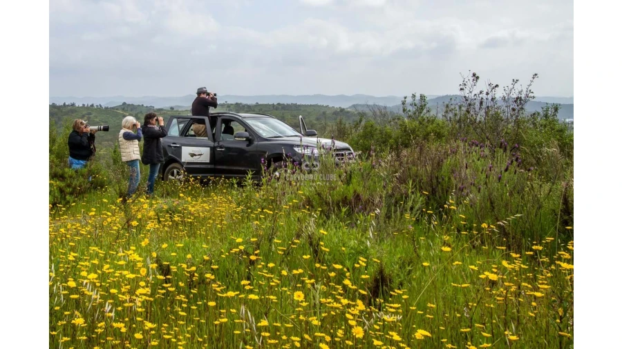 Quinta T16 para Venda em Santa Clara-A-Velha Foto 18