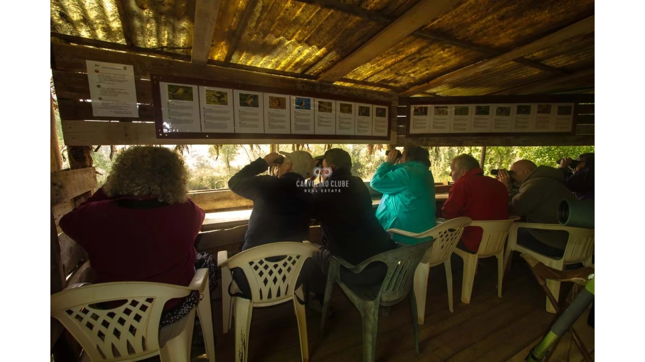 Quinta T16 para Venda em Santa Clara-A-Velha Foto 17