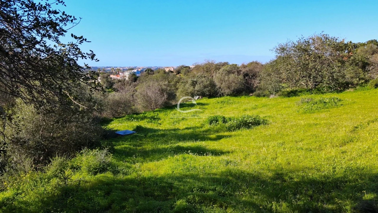Terreno para Venda em Almancil Foto 6