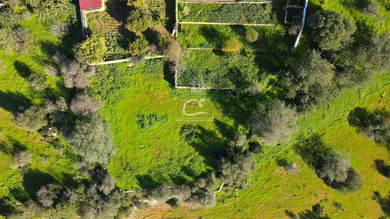 Terreno para Venda em Almancil Foto 3