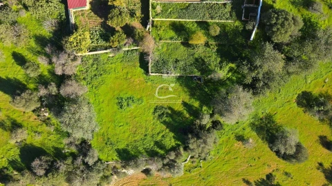 Terreno para Venda em Almancil